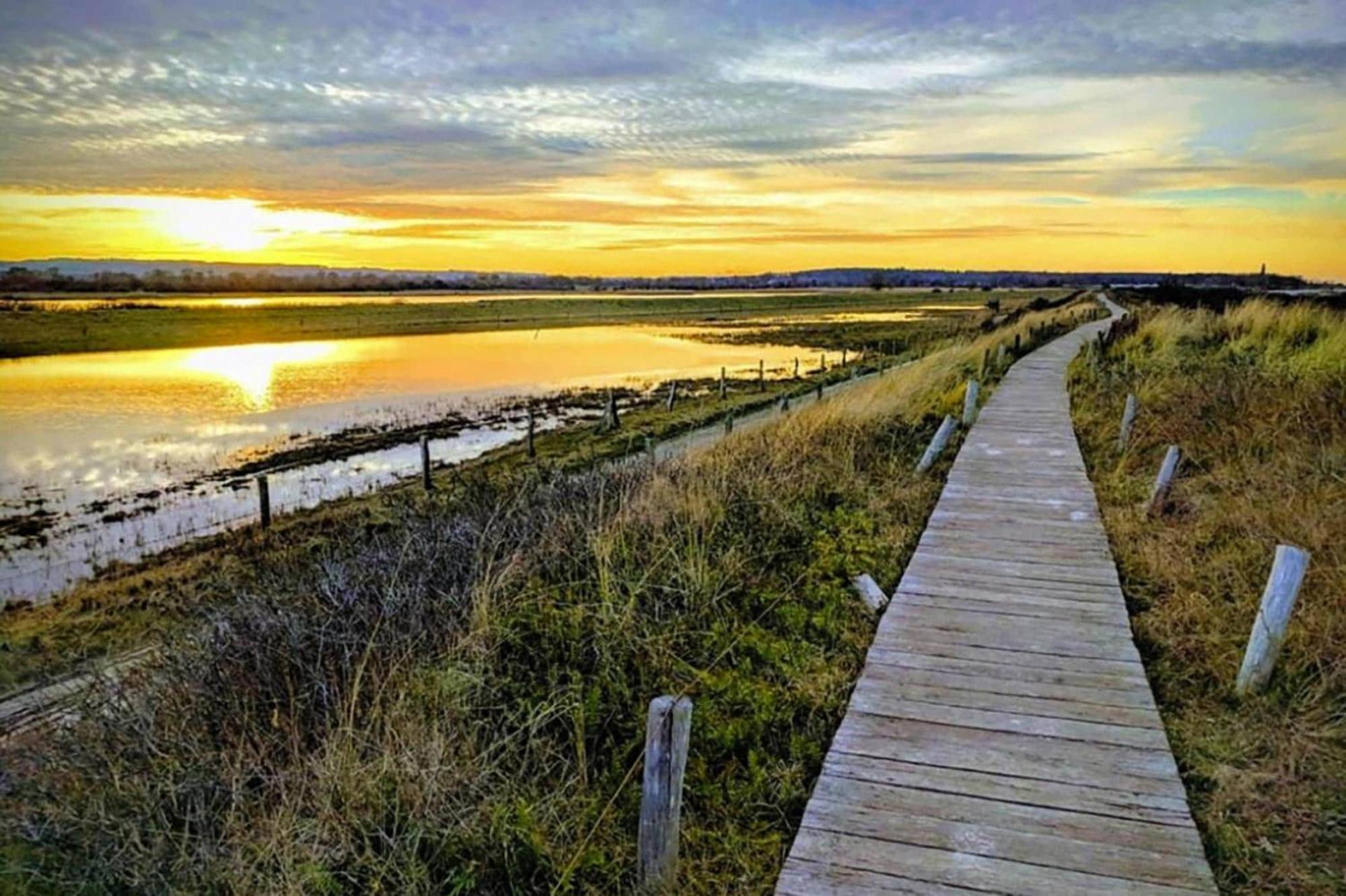 Holiday Complex Schuldt Behrensdorf Eksteriør billede